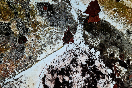 AbStracT 06
