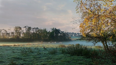 Ochtend