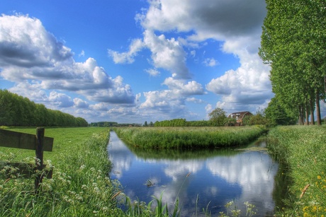 Wolken.