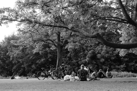 Easy saturdaymorning in the park