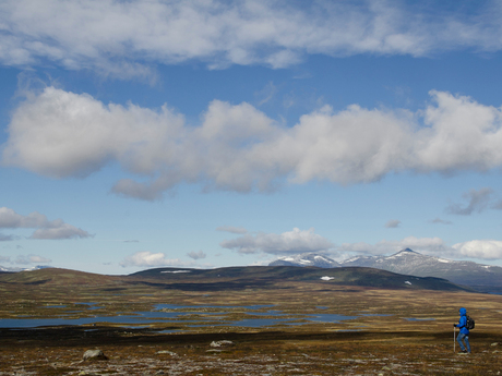 Flatruet plateau