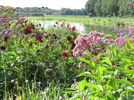 Zomer aan de Linge