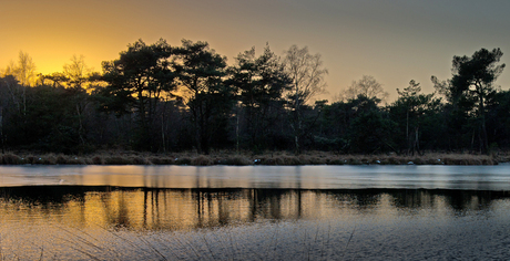 Kalmthoutse heide,