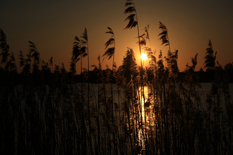 Zonsondergang