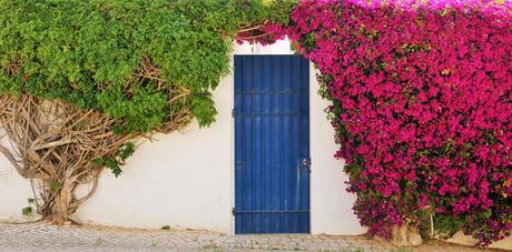 The Blue Door