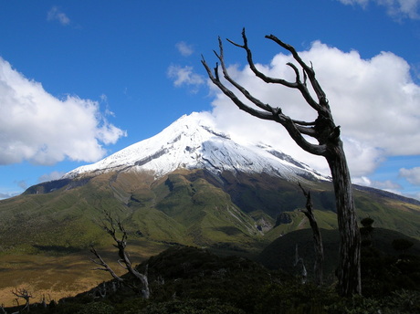 mount Taranaki