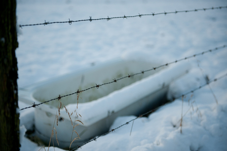 Sneeuw brengt rust