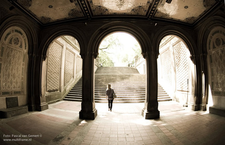 Bethesda Terrace in NYC