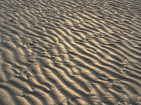 Terschelling