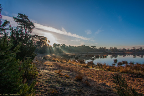 Morgenstond op de Kampina