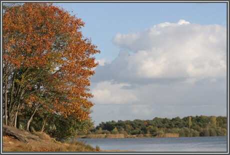 Herfstkleuren 1