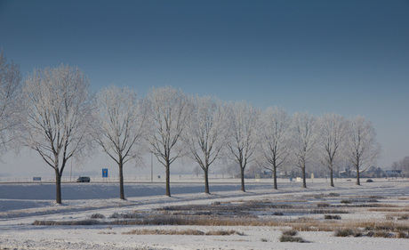 Winter in de polder