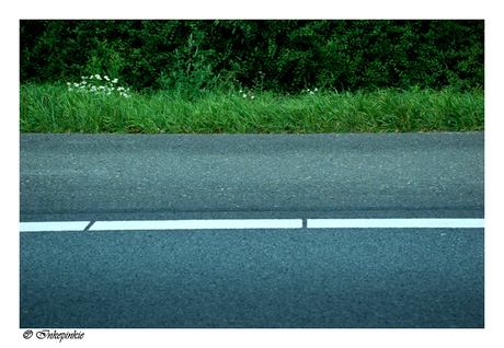 snelweg met gras.