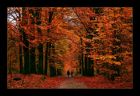 Kleur in Austerlitz