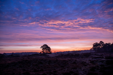 Hulshorst, IVN_MGL0181-HDR