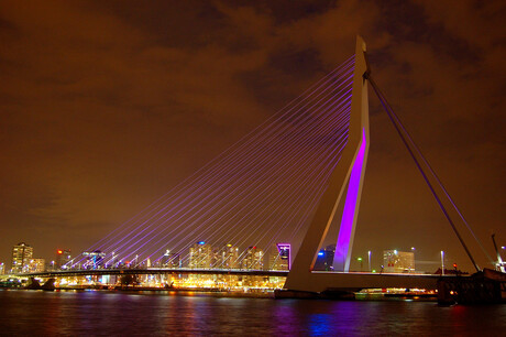 Erasmusbrug R´dam