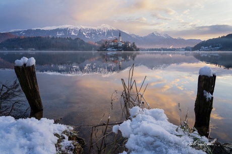 Ochtend aan het meer van Bled, Slovenië