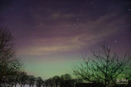 Noorderlicht 