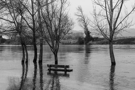 Buiten haar oevers getreden...