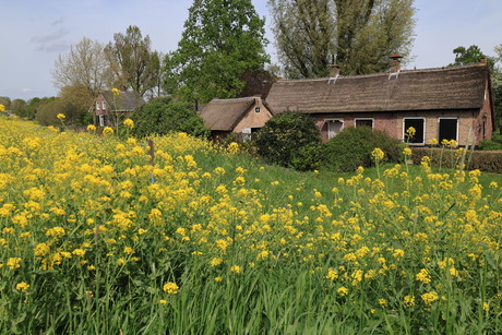 Voorjaar in Nederland