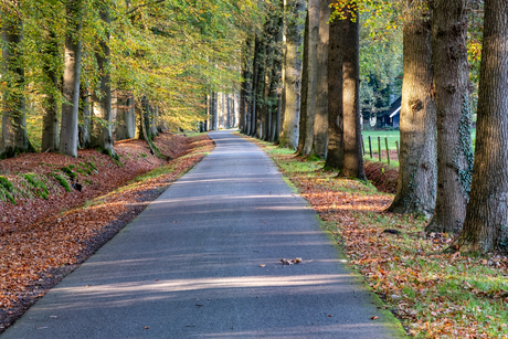 Herfstwandeling