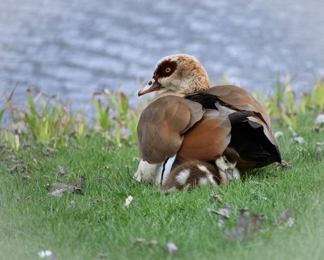 Spring is coming....