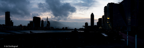 Waterkant in Rotterdam