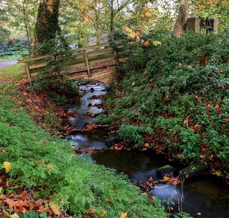 Aalsbeek