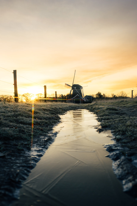 Ochtend stond goud in de mond.