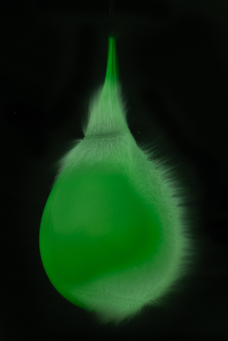 Green balloon