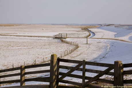 Paesons-Moddergat