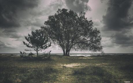 Prora beach