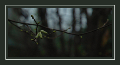 lente komt er aan