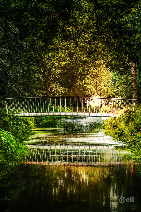 de brug van illusie 