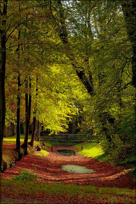 het is herfst.........................