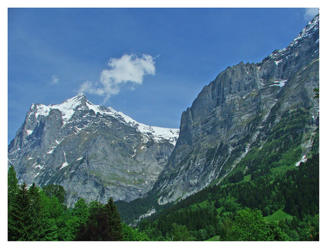 Zomerse Alpen