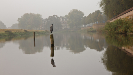 Den Bosch