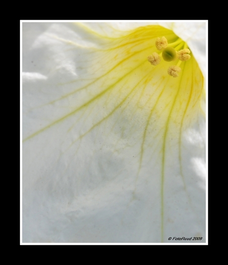 Stampertje rechtsboven!