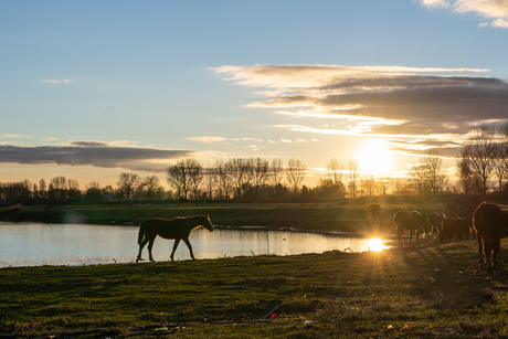 Zonsondergang in een natuurgebied