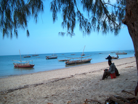 Zanzibar_vissersbootjes