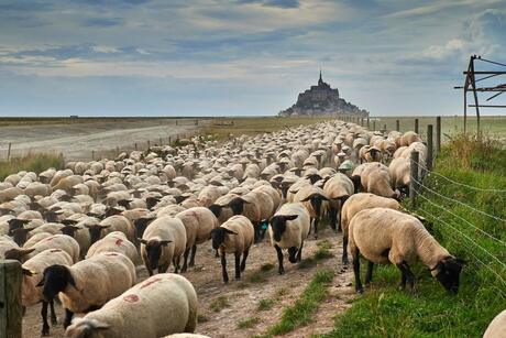 Mont Saint Michel anders bekeken