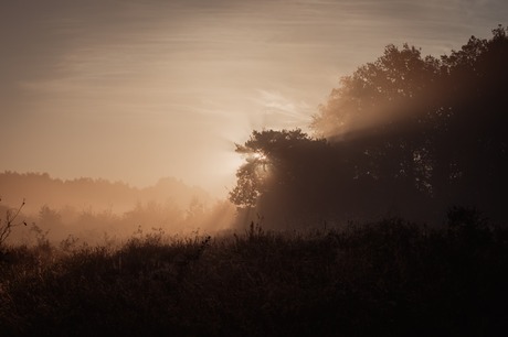 Ochtendzon herfst