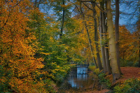 Herfst bruggetje