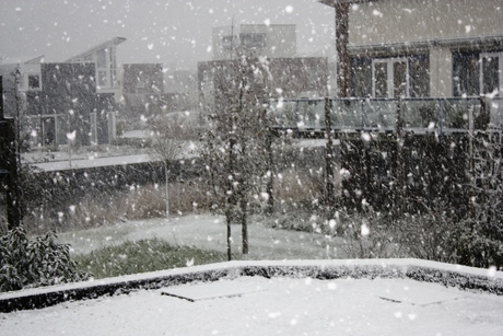 Eerste sneeuw in Vlissingen