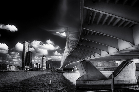 Rotterdam III.