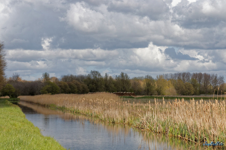 Kleimeer