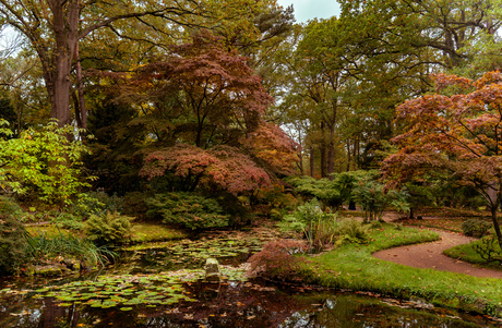 Herfst Vibes in de Japanse tuin in Clingendael. 