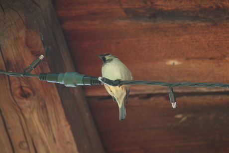 ik ben er klaar voor kerst......