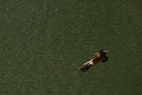 ‘Glijden Boven Stilte”