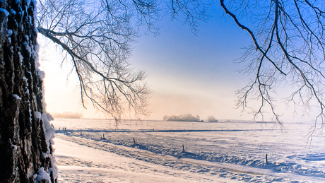 Winter landscape